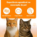 Escova Vaporizadora Pra Gatos + BRINDE ESPECIAL (Por Tempo Limitado)