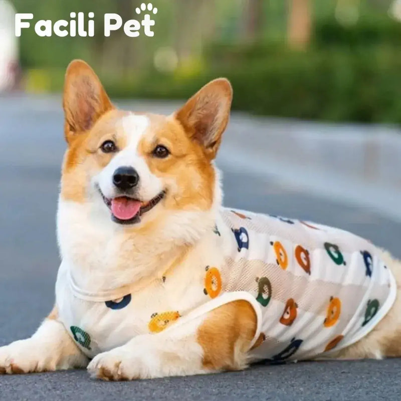 Roupa de Verão pra Cachorro e Gato - Tecido Respirável e Confortável pro Bichinho